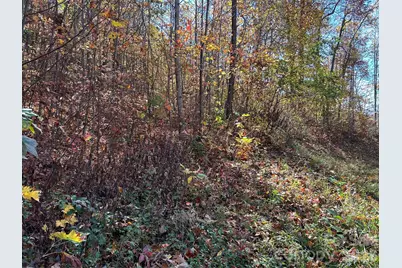 0 Owle View #30, Bryson City, NC 28713 - Photo 6