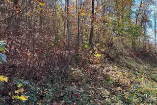 0 Owle View, Bryson City, NC 28713 - Photo 6