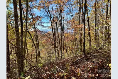 0 Owle View #30, Bryson City, NC 28713 - Photo 2