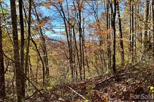 0 Owle View, Bryson City, NC 28713 - Photo 2