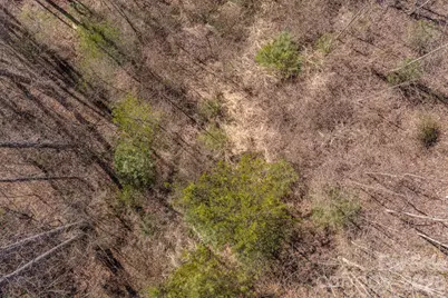 99999 Ralph Lunsford Road #Lot 2, Weaverville, NC 28787 - Photo 8