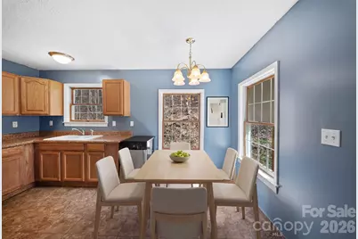 20 McDaris Road, Weaverville, NC 28787 - Photo 4