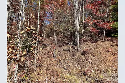 0 Grizzly Ridge #57, Bryson City, NC 28713 - Photo 4