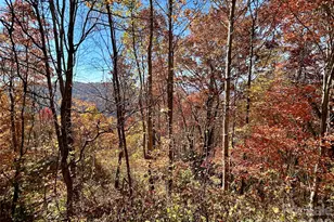 0 Grizzly Ridge, Bryson City, NC 28713 - Photo 1