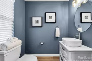 9977 Reindeer Way Ln, Charlotte, NC 28216 - Photo 4