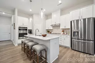 8686 Miles Gap Rd, Indian Land, SC 29707 - Photo 12