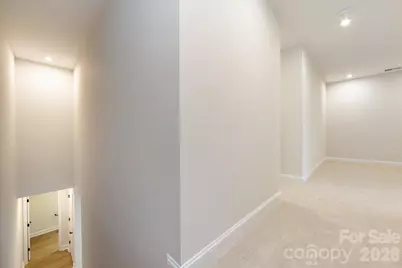 147 Landy Street, Fort Mill, SC 29715 - Photo 16