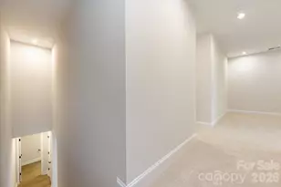 147 Landy St, Fort Mill, SC 29715 - Photo 16