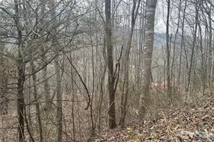 00 Country Club Dr, Whittier, NC 28789 - Photo 10