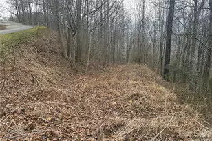 00 Country Club Dr, Whittier, NC 28789 - Photo 6