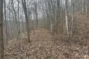 00 Country Club Dr, Whittier, NC 28789 - Photo 14