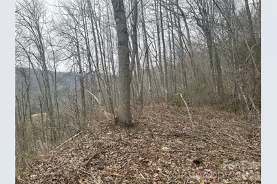 00 Country Club Drive #11, Whittier, NC 28789 - Photo 4