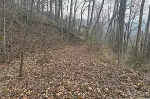 00 Country Club Dr, Whittier, NC 28789 - Photo 12