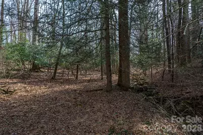 Tbd Ball Gap Road, Arden, NC 28704 - Photo 2