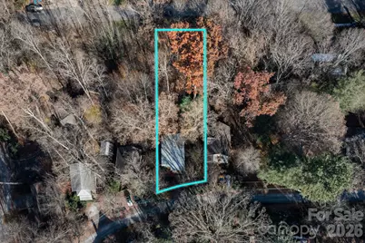 59 Morningside Drive, Asheville, NC 28806 - Photo 30