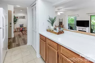 385 Whitney Blvd, Lake Lure, NC 28746 - Photo 8