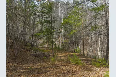 Lots 22 & 23 Lake Adger Parkway, Mill Spring, NC 28756 - Photo 6