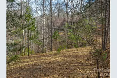 Lots 22 & 23 Lake Adger Parkway, Mill Spring, NC 28756 - Photo 4