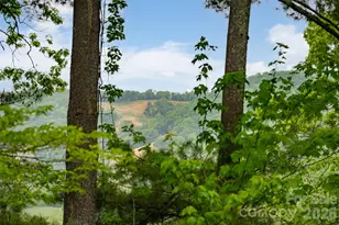 29 Longue Vue Ln, Canton, NC 28716 - Photo 44