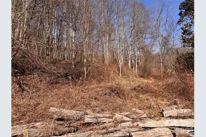 00 S US 19 Highway E, Newland, NC 28657 - Photo 10