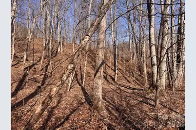 00 S US 19 Highway E, Newland, NC 28657 - Photo 4