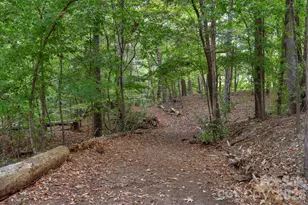 16414 Cozy Cove Rd, Charlotte, NC 28278 - Photo 36