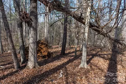 3100 Icenhour Place, Lenoir, NC 28645 - Photo 38