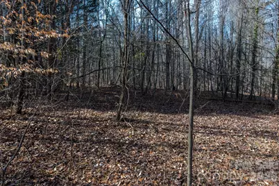 3100 Icenhour Place, Lenoir, NC 28645 - Photo 42