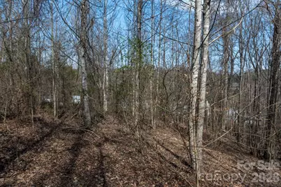 3100 Icenhour Place, Lenoir, NC 28645 - Photo 46