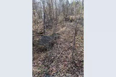 3100 Icenhour Place, Lenoir, NC 28645 - Photo 32