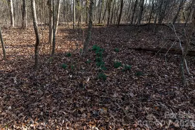 3100 Icenhour Place, Lenoir, NC 28645 - Photo 36