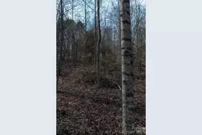 3100 Icenhour Place, Lenoir, NC 28645 - Photo 48