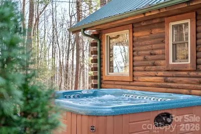 219 Woodlyn Etch Drive, Hendersonville, NC 28792 - Photo 6