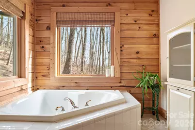 219 Woodlyn Etch Drive, Hendersonville, NC 28792 - Photo 20