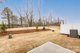 151 Landy St, Fort Mill, SC 29715 - Photo 30