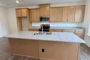 545 Annie Lowery Wy, Davidson, NC 28036 - Photo 14