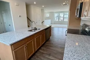 545 Annie Lowery Wy, Davidson, NC 28036 - Photo 16