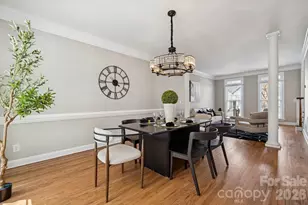 14724 Murfield Ct, Charlotte, NC 28278 - Photo 12