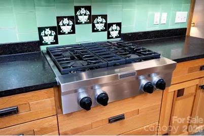 105 Avondale Heights Road, Asheville, NC 28803 - Photo 20