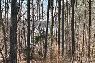 129 Water Oak Way, Mount Gilead, NC 27306 - Photo 40