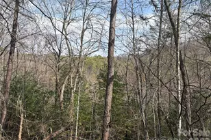 00 Round Hill Rd, Bryson City, NC 28713 - Photo 4