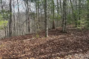 00 Round Hill Rd, Bryson City, NC 28713 - Photo 1