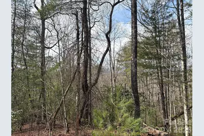 00 Round Hill Road #14, Bryson City, NC 28713 - Photo 8