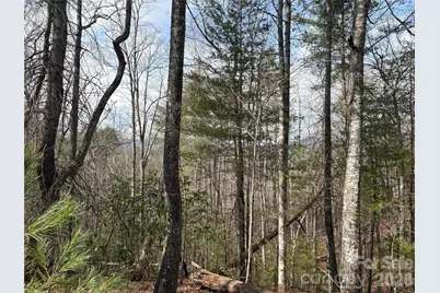 00 Round Hill Road #14, Bryson City, NC 28713 - Photo 12