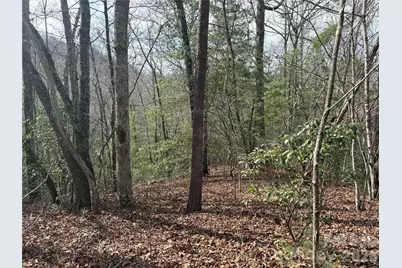 00 Round Hill Road #14, Bryson City, NC 28713 - Photo 14