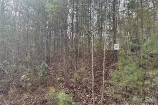 00 Round Hill Rd, Bryson City, NC 28713 - Photo 24