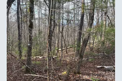 00 Round Hill Road #14, Bryson City, NC 28713 - Photo 16