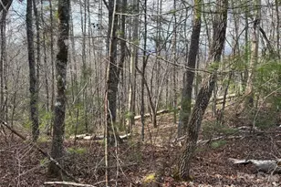 00 Round Hill Rd, Bryson City, NC 28713 - Photo 16