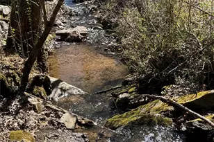 215 Pinellas Ln, Waynesville, NC 28785 - Photo 10