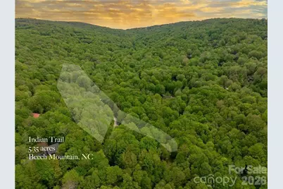 101 Indian Trail #1, 2, 3, Beech Mountain, NC 28604 - Photo 2